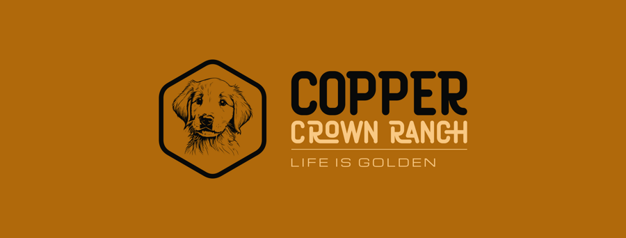 Copper Crown Ranch LLC